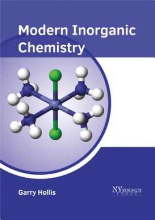 Könyv Modern Inorganic Chemistry Garry Hollis