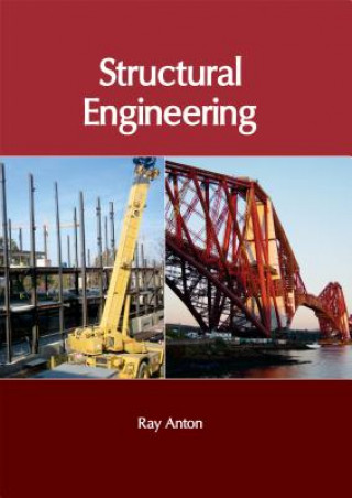 Book Structural Engineering Ray Anton