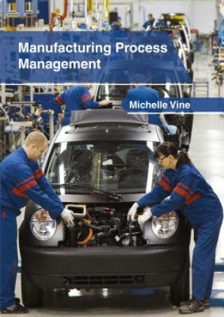 Kniha Manufacturing Process Management Michelle Vine