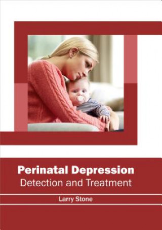 Kniha Perinatal Depression: Detection and Treatment Larry Stone