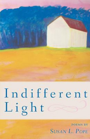 Knjiga Indifferent Light Susan Pope