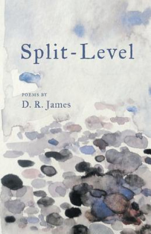 Knjiga Split-Level D James