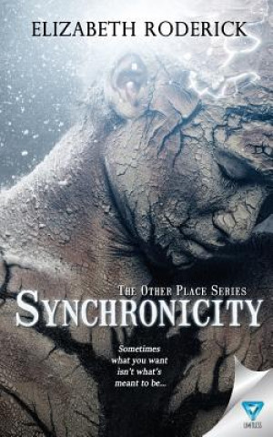Knjiga Synchronicity Elizabeth Roderick