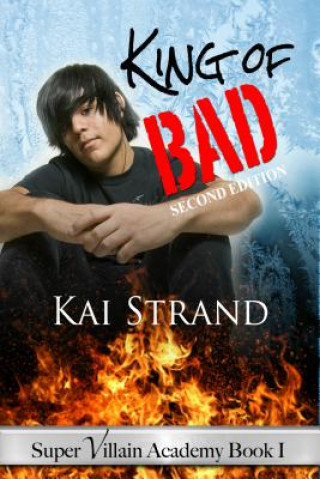 Kniha Super Villain Academy Book 1: King of Bad Kai Strand