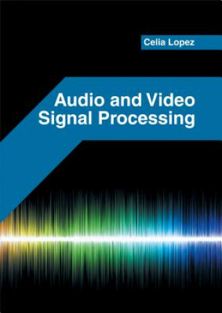 Knjiga Audio and Video Signal Processing Celia Lopez