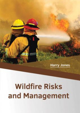 Könyv Wildfire Risks and Management Harry Jones