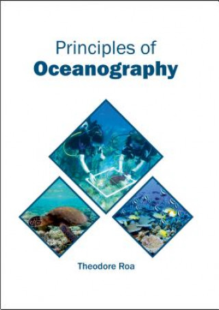 Knjiga Principles of Oceanography Theodore Roa