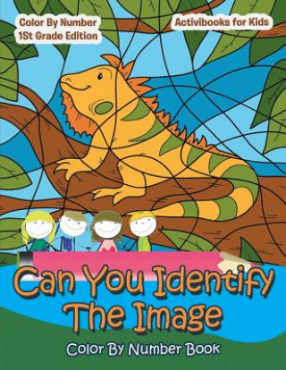 Kniha Can You Identify The Image Color By Number Book Activibooks For Kids