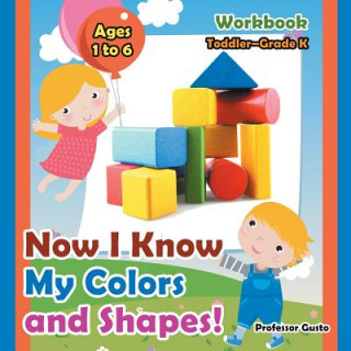 Książka Now I Know My Colors and Shapes! Workbook Toddler-Grade K - Ages 1 to 6 Professor Gusto