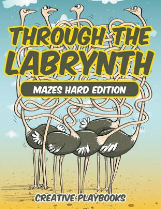 Kniha Through the Labyrinth Mazes Hard Edition Creative Playbooks