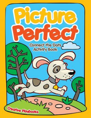 Knjiga Picture Perfect Creative Playbooks