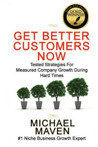 Buch Get Better Customers Now: Tested Strategies For Measured Company Growth During Hard Times Michael Maven