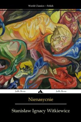 Könyv Nienasycenie Stanisław Ignacy Witkiewicz