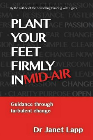 Könyv Plant your Feet Firmly in Mid-Air: Leading through turbulent change Janet E Lapp