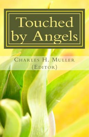 Buch Touched by Angels: Testimonies of Christian Power Dr Charles Humphrey Muller