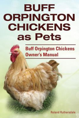 Könyv Buff Orpington Chickens as Pets. Buff Orpington Chickens Owner's Manual. Roland Ruthersdale