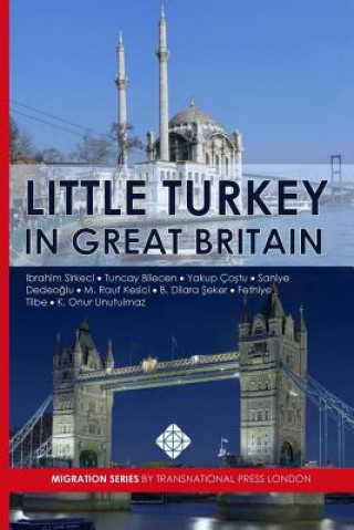 Kniha Little Turkey in Great Britain Ibrahim Sirkeci