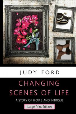 Carte Changing Scenes of Life, Large Print Edition: A Story of Hope and Intrigue Judy Ford