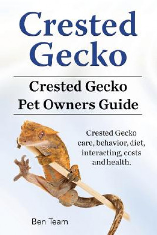 Carte Crested Gecko. Crested Gecko Pet Owners Guide. Crested Gecko care, behavior, diet, interacting, costs and health. Ben Team