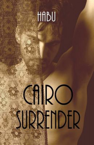 Book Cairo Surrender Habu