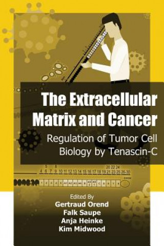 Knjiga The Extracellular Matrix and Cancer: Regulation of Tumor Cell Biology by Tenasc Gertraud Orend