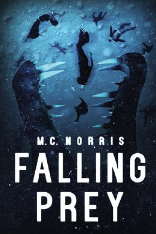 Book Falling Prey M C Norris