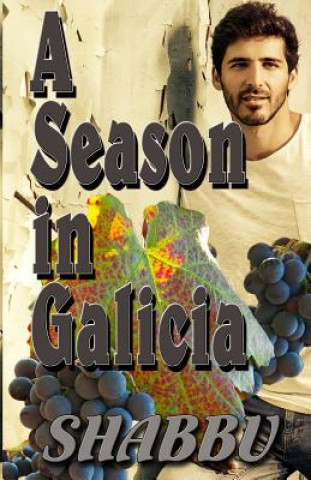 Libro A Season in Galicia: A Story of Gay Love and Romance in Northern Spain Shabbu