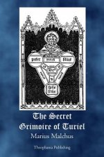 Carte The Secret Grimoire of Turiel Marius Malchus