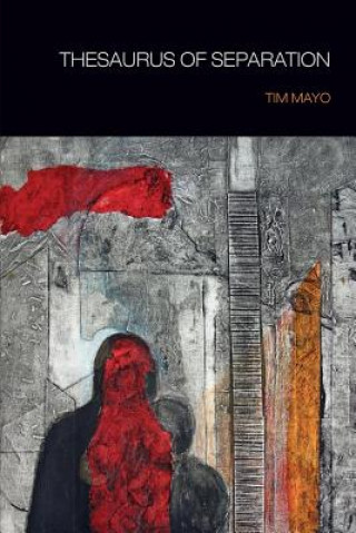 Książka Thesaurus of Separation Tim Mayo