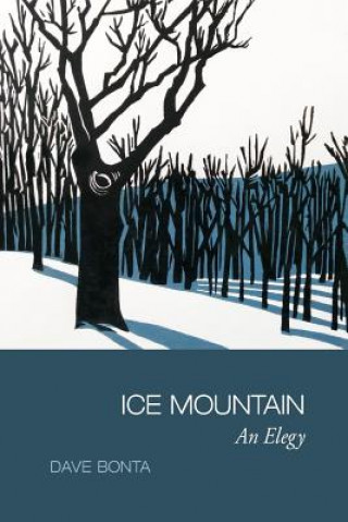 Książka Ice Mountain: An Elegy Dave Bonta