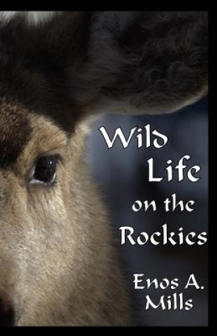 Книга Wild Life on the Rockies Enos A Mills