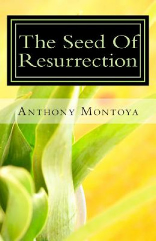 Könyv The Seed Of Resurrection Anthony Montoya