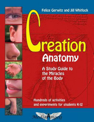 Kniha Creation Anatomy: A Study Guide to the Miracles of the Body Felice Gerwitz