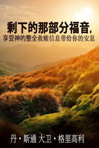 Knjiga The Rest of the Gospel (Chinese Version): When the Partial Gospel Has Worn You Out Dan Stone