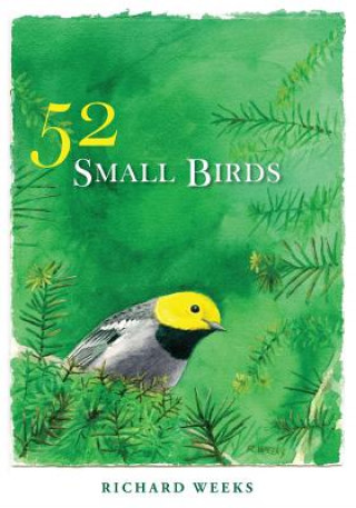Kniha 52 Small Birds Richard R Weeks