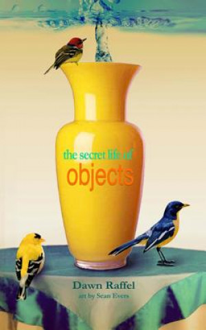 Libro The Secret Life of Objects Dawn Raffel