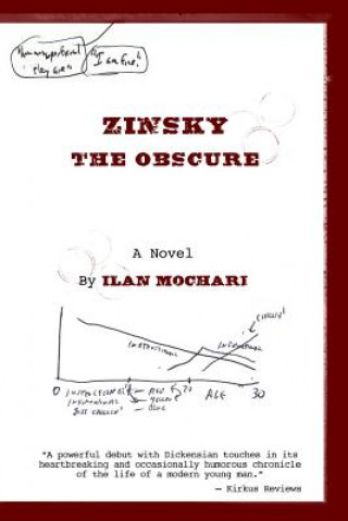 Kniha Zinsky the Obscure Ilan Mochari