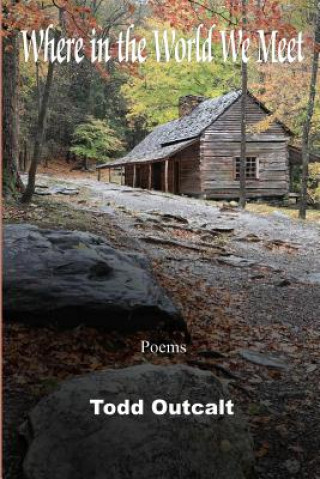 Könyv Where in the World We Meet: Poems Todd Outcalt