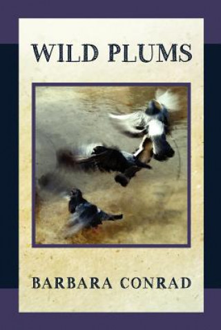 Kniha Wild Plums Barbara Conrad