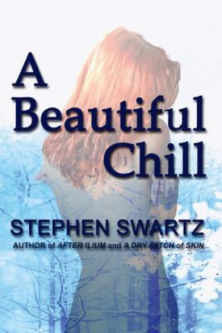 Kniha A Beautiful Chill Stephen Swartz