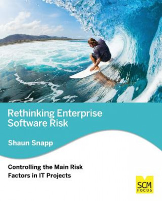 Книга Rethinking Enterprise Software Risk: Controlling the Main Risk Factors on It Projects Shaun Snapp