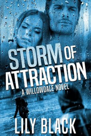 Buch Storm of Attraction Lily Black