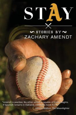 Boek StAy Zachary Amendt