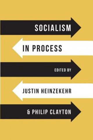 Книга Socialism in Process Justin Heinzekehr