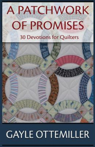 Książka Patchwork of Promises Gayle C Ottemiller