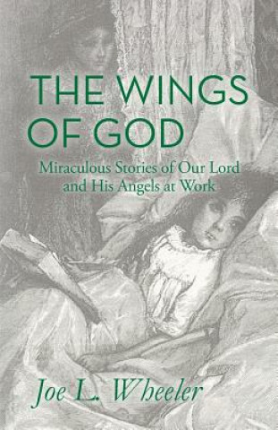 Kniha The Wings of God: Miraculous Stories of Our Lord and His Angels at Work Joe L Wheeler