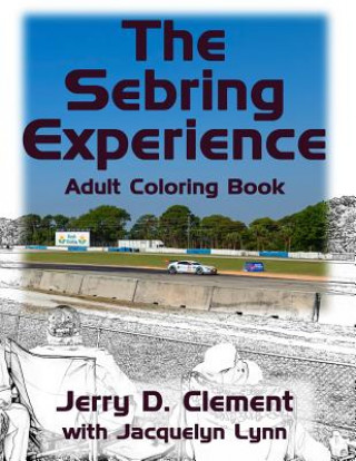 Kniha The Sebring Experience Jerry D Clement