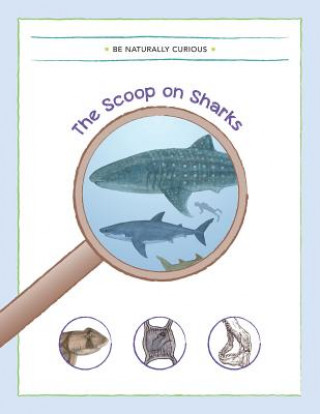 Kniha The Scoop on Sharks Be Naturally Curious