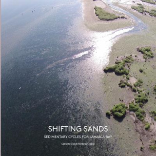 Carte Shifting Sands Catherine Seavitt Nordenson