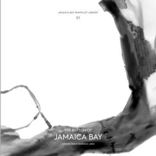 Knjiga Jamaica Bay Pamphlet Library 01 Catherine Seavitt Nordenson